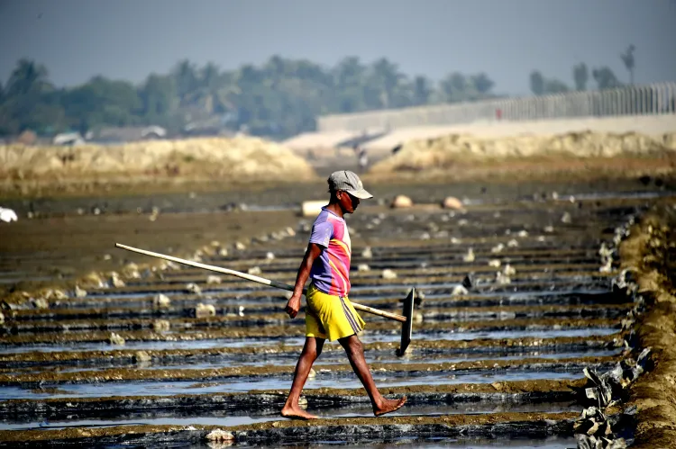 Bangladesh-US trade deal threatens 4.1 crore farming households, expert warns