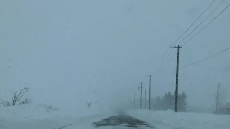What Impact Does the Blizzard in Hokkaido Have?