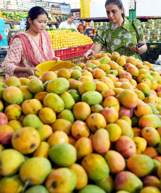 Tripura exotic mango trials at SHRC aim for state self-reliance
