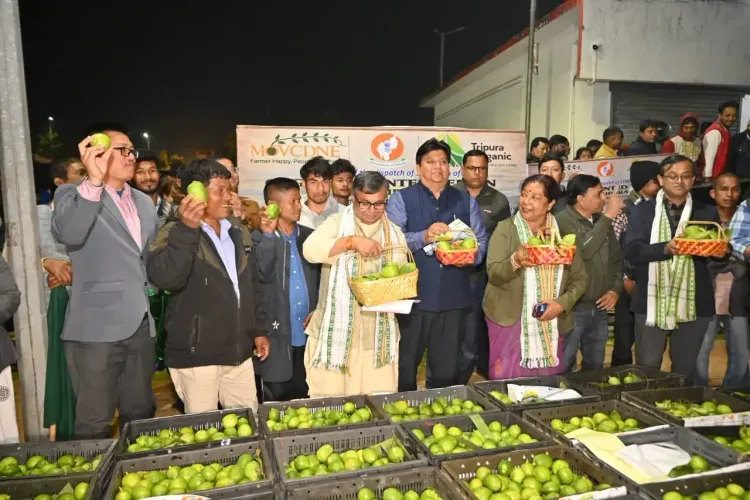 Did Tripura Really Export 15,000 Scented Lemons to Kolkata?