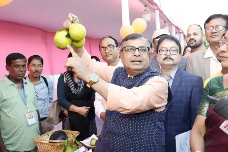 How is the Tripura government promoting orange cultivation and floriculture in mountainous regions?