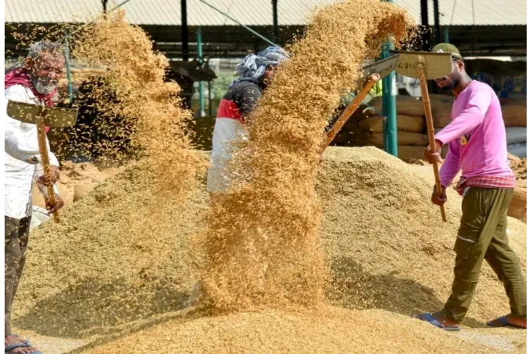 Tripura exports 18 MT organic rice to Austria, Netherlands; farmers may gain 40%