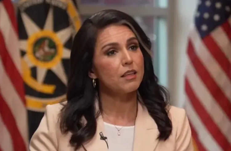 Tulsi Gabbard releases declassified docs alleging Fauci shaped Covid-19 origin intel
