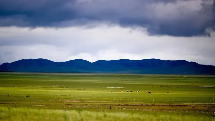 Have Two More Cases of Bubonic Plague Emerged in Mongolia's Khuvsgul?