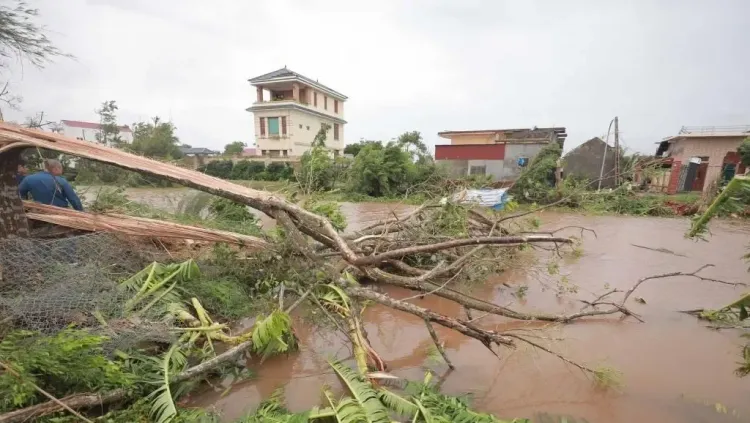 What was the impact of Typhoon Bualoi in Vietnam?