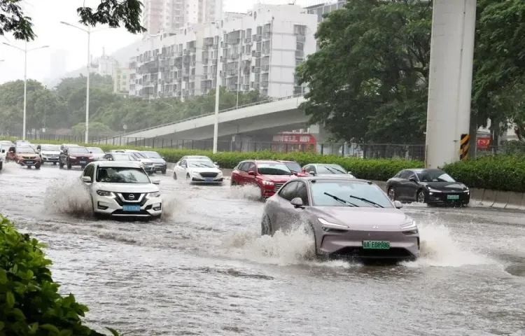 Did Typhoon Mitag Hit South China's Guangdong?