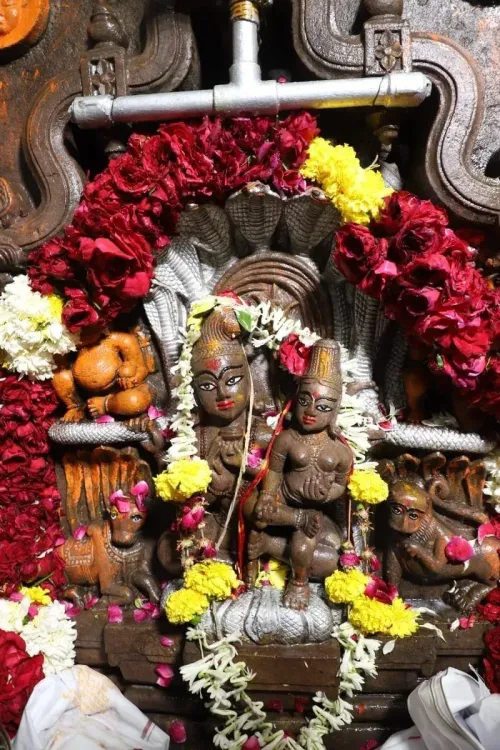 नाग पंचमी पर उज्जैन के नागचंद्रेश्वर मंदिर के कपाट खुले, देशभर से उमड़े श्रद्धालु