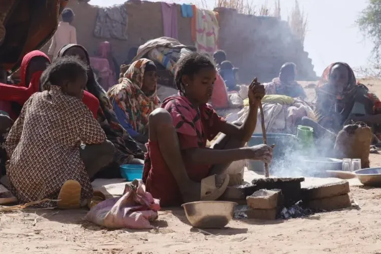 Sudan disease crisis: UN battles cholera, mpox and dengue amid conflict