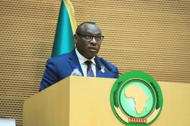 How Can Africa Mobilise Financing and Integrate Economically Amid Global Economic Transition?