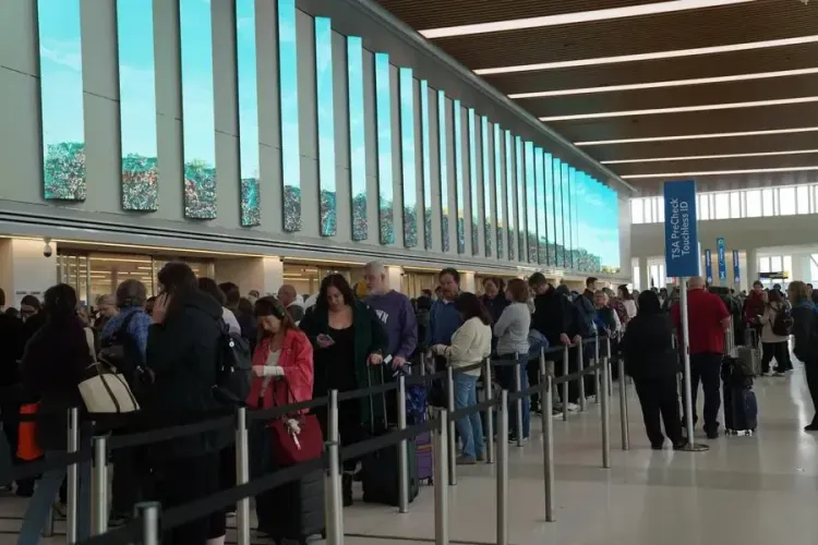 US Airports Face Severe Delays as Trump Sends ICE Agents Amid DHS Shutdown
