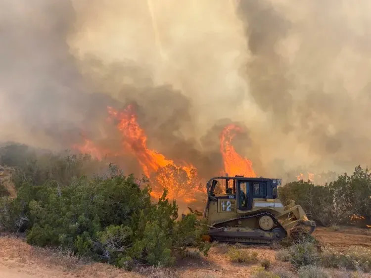 US Forest Service warns of severe 2026 fire season, hires 11,000 firefighters