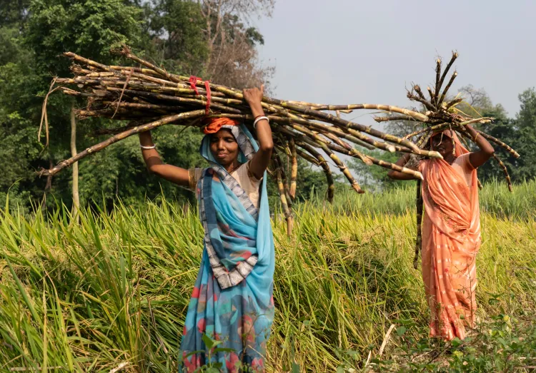 क्या उत्तर प्रदेश के गन्ना किसानों के लिए गन्ना मूल्य में 30 रुपए प्रति क्विंटल की वृद्धि की गई है?