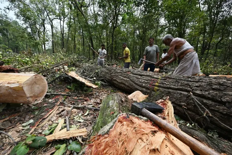 Uttarakhand CM Dhami suspends Saat Mod tree-felling amid Dehradun protests