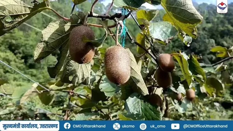 Uttarakhand CMO Spotlights Chamoli's Kiwi Farming Rise