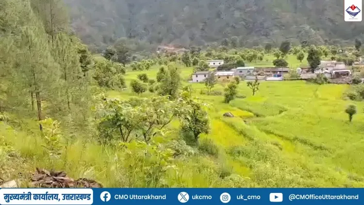 Uttarakhand Govt Acts to Shield Hill Farmers From Wildlife