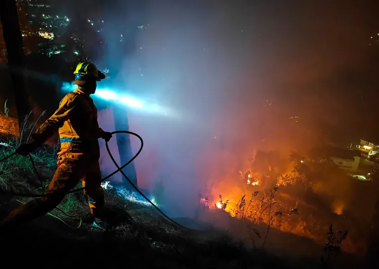 Uttarakhand to launch ₹1 lakh reward scheme to curb forest fires in 2026