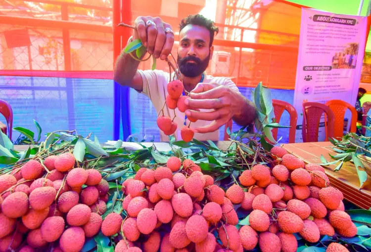 Uttarakhand litchi reaches Italy in India's first European export push