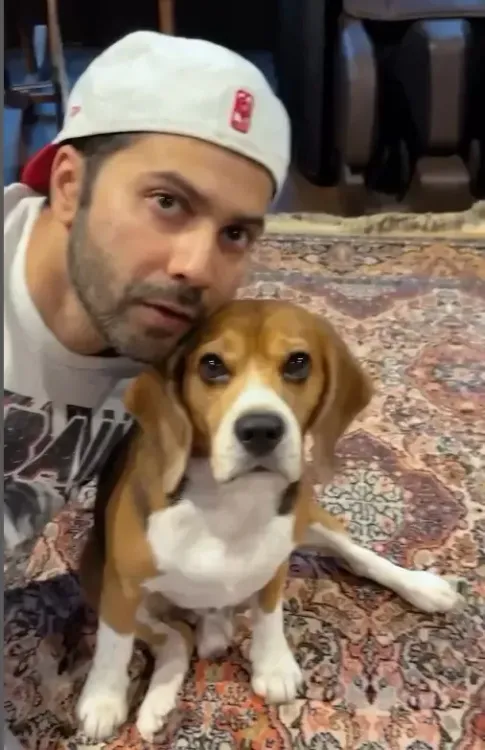 Did Varun Dhawan Just Find His Ultimate Dance Partner?