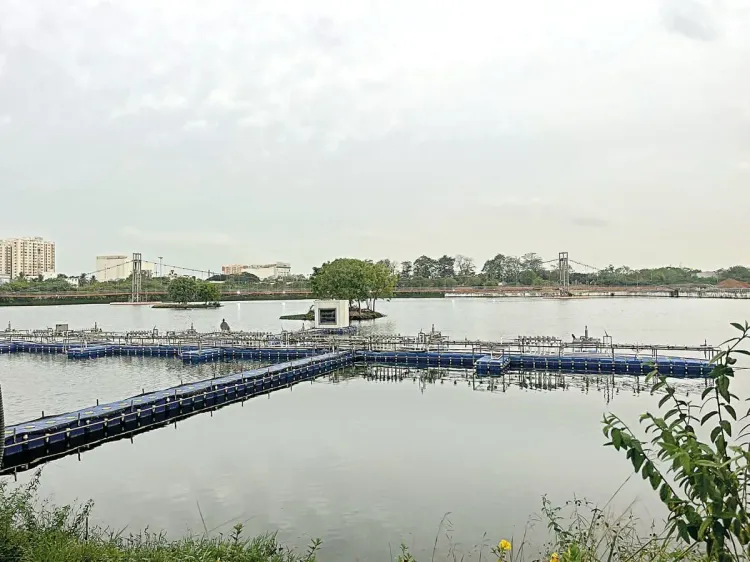 Villivakkam Lake park in Chennai nears completion, set for September 2025
