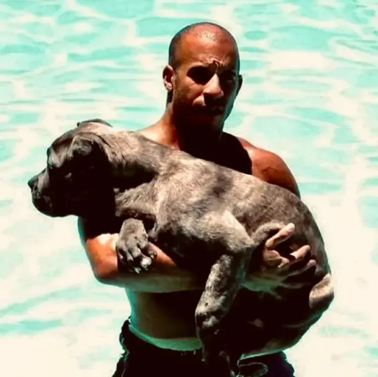 Vin Diesel marks 25 years of Fast & Furious with global re-release ahead of Fast Forever