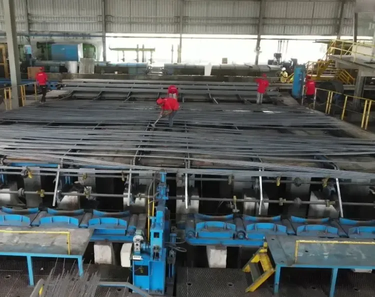 Why Did VMS TMT's Net Profit Drop by 17% in FY24?