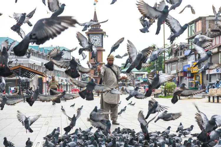 What Is the Voice from Kashmir Beyond Silence and Slogans?