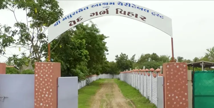 गुजरात बना वेलनेस टूरिज्म हब: आयुर्वेद, पंचकर्म और 'लोक आयुर्वेद' से हेल्थ टूरिज्म को मिल रही नई रफ्तार