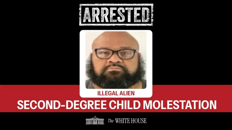 White House Backs ICE Removals of Criminal Noncitizens