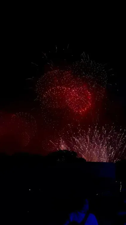 White House Celebrates July 4 With Fireworks Tribute