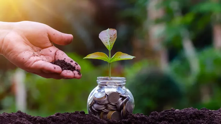 2024 Sees a 2.5-Fold Increase in Women Investors in India's Mutual Fund Sector