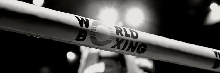 World Boxing U-19 C'ships: Aditya storms into 55kg gold medal bout with 5-0 win