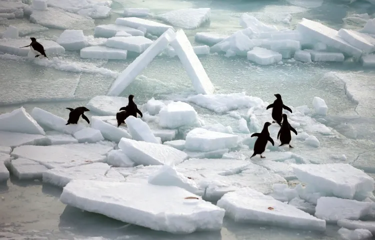 Did the World's Oceans Reach a New Heat Record in 2025?