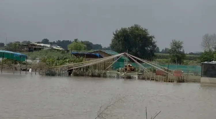 क्या यमुना में जलस्तर बढ़ने वाला है? डूब क्षेत्र में रहने वाले लोग और पशु सुरक्षित स्थानों पर पहुँचें: जिलाधिकारी