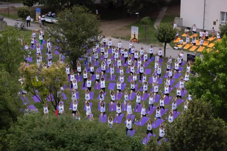 International Yoga Day 2026: Global celebrations mark 12th IDY