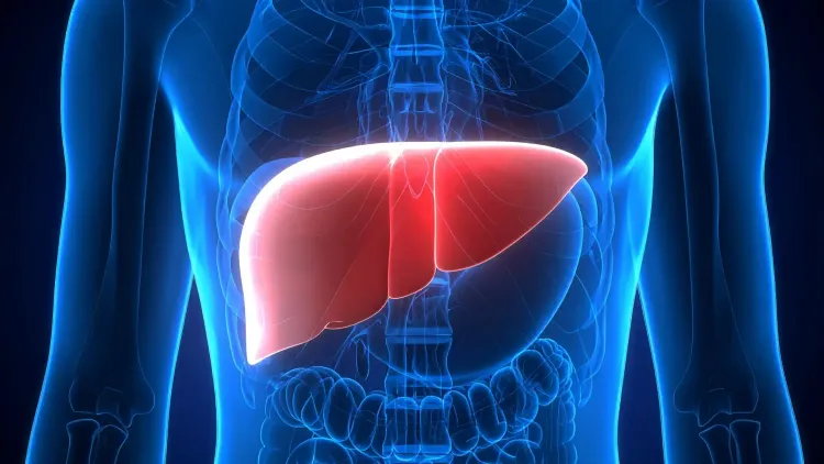 Can Your Oral Bacteria Indicate the Risk of Chronic Liver Disease?