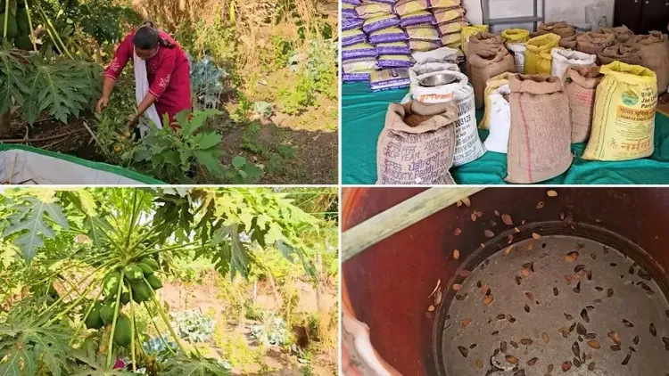 तापी की महिला किसान अरविंदाबेन: जीरो बजट फार्मिंग में 22 फसलें उगाने की प्रेरणादायक कहानी