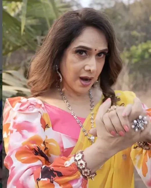 Meenakshi Seshadri recreates 'Ae Dil' from 1993 hit 'Aadmi Khilona Hai'