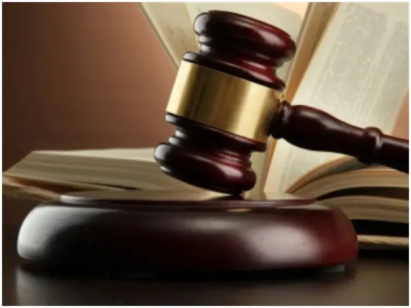 क्या मीनाताई ठाकरे की प्रतिमा पर रंग फेंकने का आरोपी 14 दिनों की न्यायिक हिरासत में है?