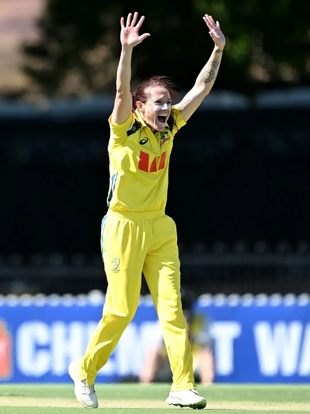 Megan Schutt reaches 150 ODI wickets, third Australian to hit the mark