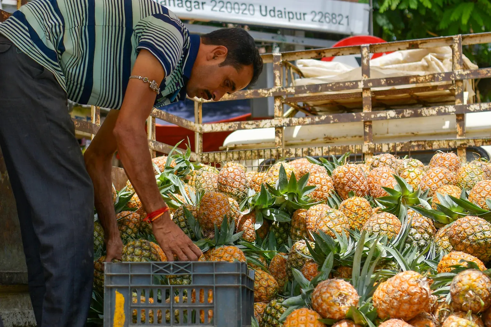 Meghalaya Pineapple Festival 2025: Delhi showcase eyes MoUs, export push