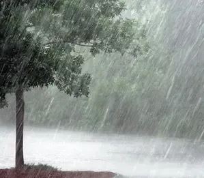 IMD Forecasts Rain and Thunderstorms in Tamil Nadu for Upcoming Days