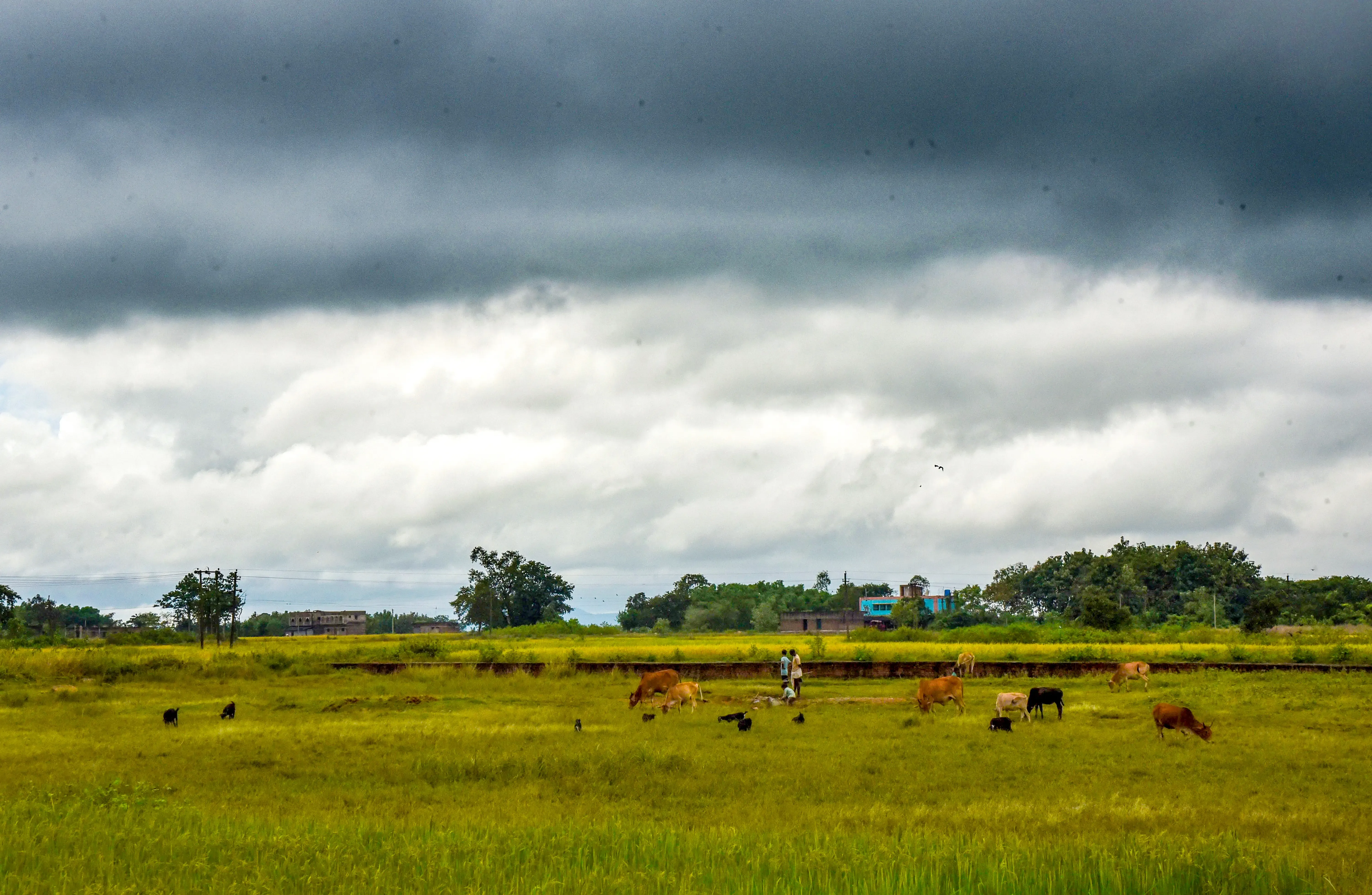 Rainfall and Thunderstorms Expected in West Bengal Until Monday