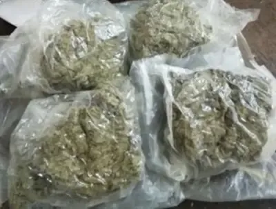 Mexican cartels turn rented homes into drug labs in India, NCB warns