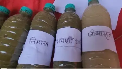 Modi govt promotes natural farming in Bihar's Bhagalpur to help farmers become 'Aatmanirbhar'