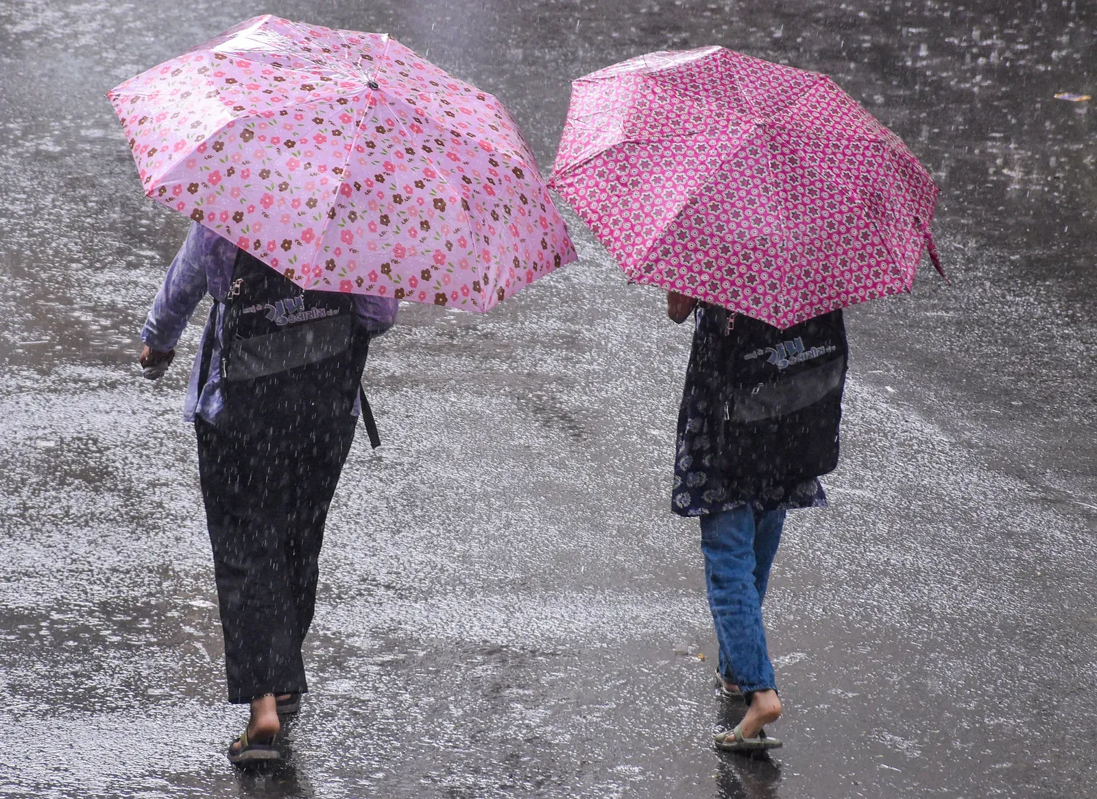 Gujarat monsoon: 35 disaster teams deployed, 777 evacuated as Amreli records 10 inches