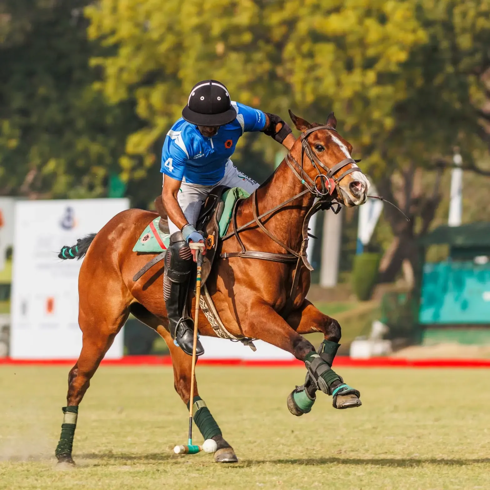 How Are More Grassroots Tournaments Crucial for Polo’s Growth in India?