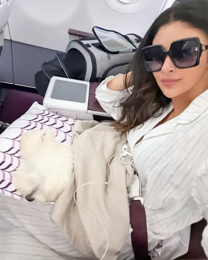 Did Mouni Roy Travel with Her Pet Dog in Business Class?