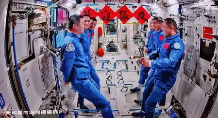 Did a Mouse Give Birth to Pups After a Space Mission in China?