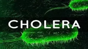 How is Mozambique Planning to Eliminate Cholera by 2030?