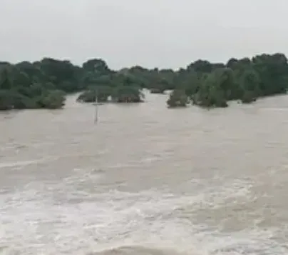Narmada River drowning: Bodies of 2 Rajasthan youths recovered in Dhar after 15-hour rescue
